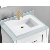 Sink & Top Options
